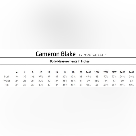 Cameron Blake 119644 Mother of the Bride Evening Dress Sage Sz. 16 (SAMPLE) - Picture 9 of 9